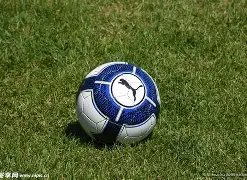 淄博外汇,海关,税务局共筑,博业体育平台,博业体育官方网站,博业体育登录入口,博业体育app下载