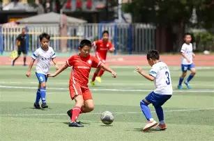 土壤重金属,污染防控及,耕地安全利,博业体育平台,博业体育官方网站,博业体育登录入口,博业体育app下载