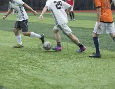 揭秘,广东男篮领,之谜,博业体育平台,博业体育官方网站,博业体育登录入口,博业体育app下载