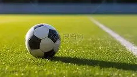 博业体育 产品 121909 xsn