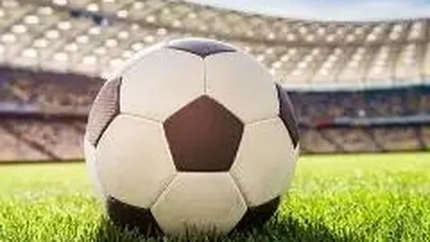 博业体育 资讯 122303 1dq